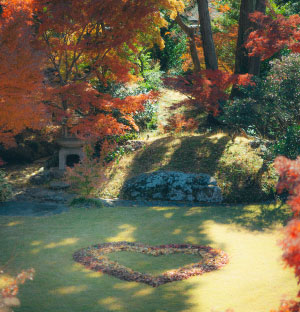 カフェイメージ 01